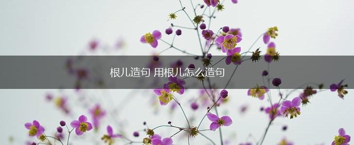 根儿造句 用根儿怎么造句,第1张