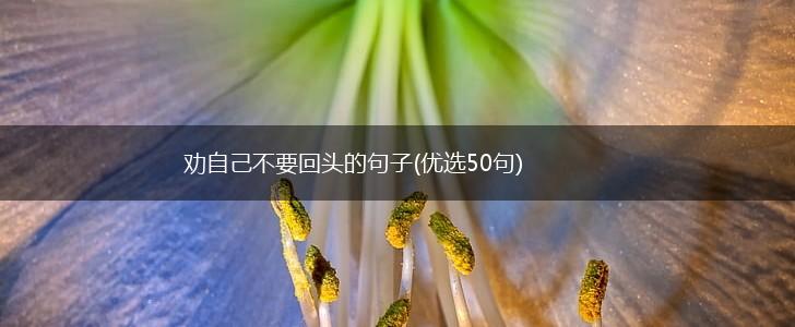 劝自己不要回头的句子(优选50句),第1张
