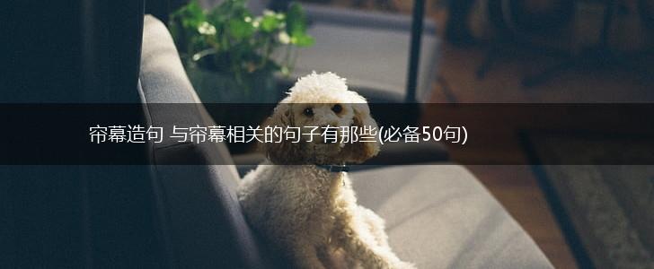 帘幕造句 与帘幕相关的句子有那些(必备50句),第1张