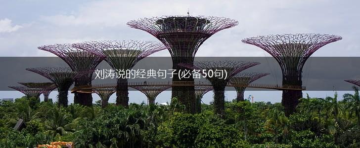 刘涛说的经典句子(必备50句),第1张