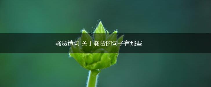 骚货造句 关于骚货的句子有那些,第1张