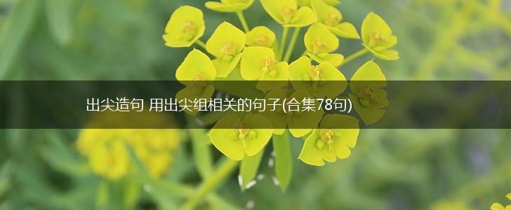 出尖造句 用出尖组相关的句子(合集78句),第1张