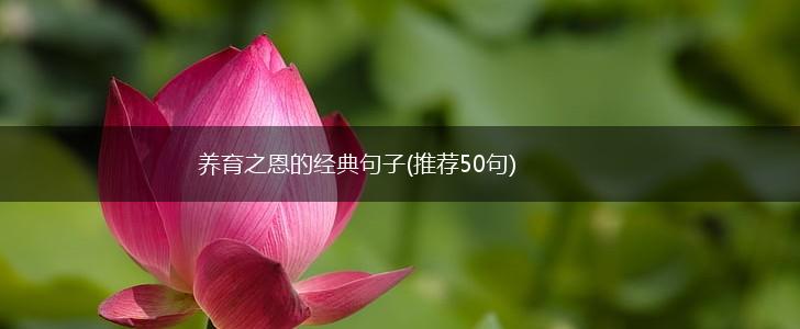 养育之恩的经典句子(推荐50句),第1张