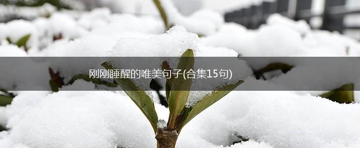 刚刚睡醒的唯美句子(合集15句),第1张