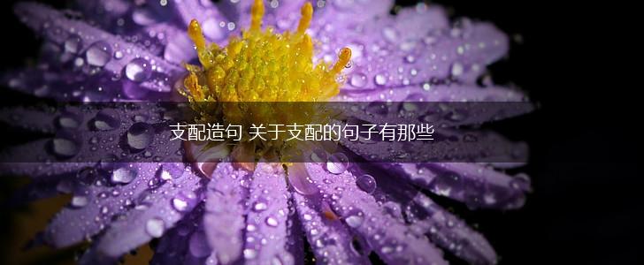 支配造句 关于支配的句子有那些,第1张