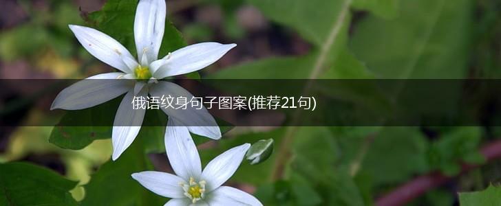 俄语纹身句子图案(推荐21句),第1张