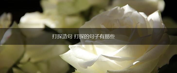 打探造句 打探的句子有那些,第1张