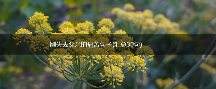 刚失去父亲的痛苦句子(汇总30句),第1张