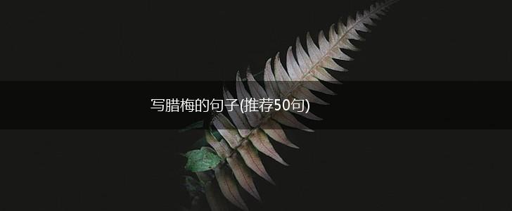 写腊梅的句子(推荐50句),第1张