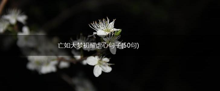 亡如大梦初醒虐心句子(50句),第1张