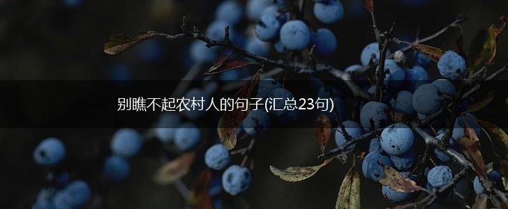 别瞧不起农村人的句子(汇总23句),第1张