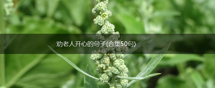 劝老人开心的句子(合集50句),第1张