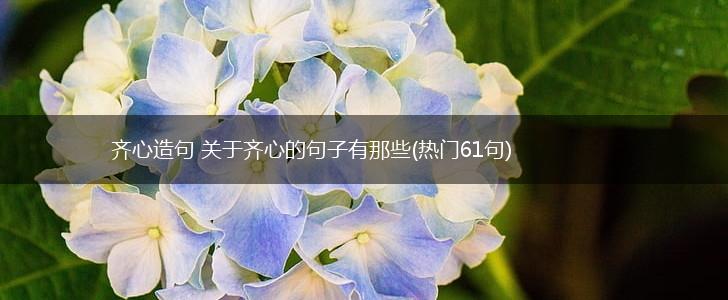 齐心造句 关于齐心的句子有那些(热门61句),第1张