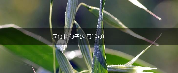 元宵节 句子(实用10句),第1张