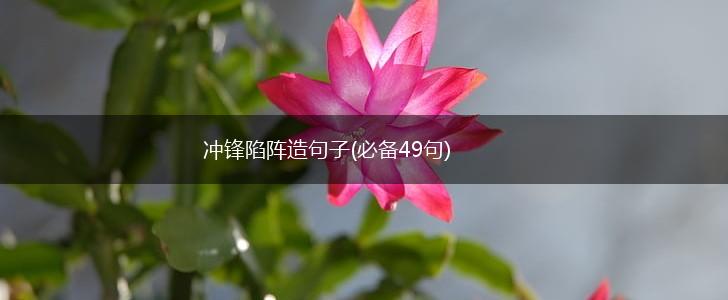 冲锋陷阵造句子(必备49句),第1张