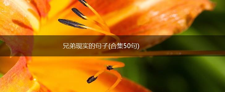 兄弟现实的句子(合集50句),第1张