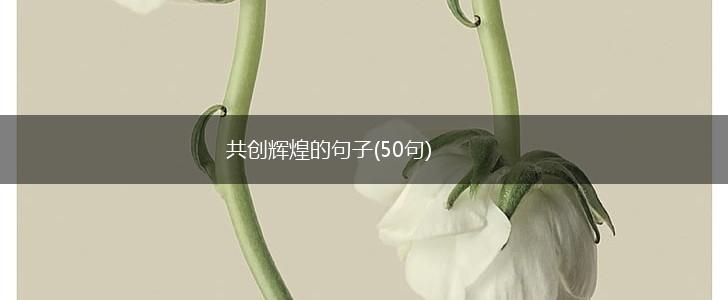 共创辉煌的句子(50句),第1张
