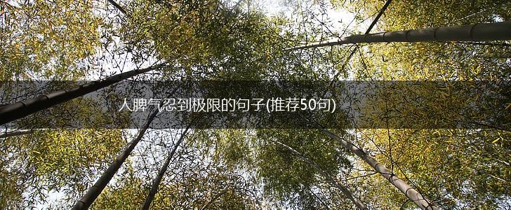 人脾气忍到极限的句子(推荐50句),第1张