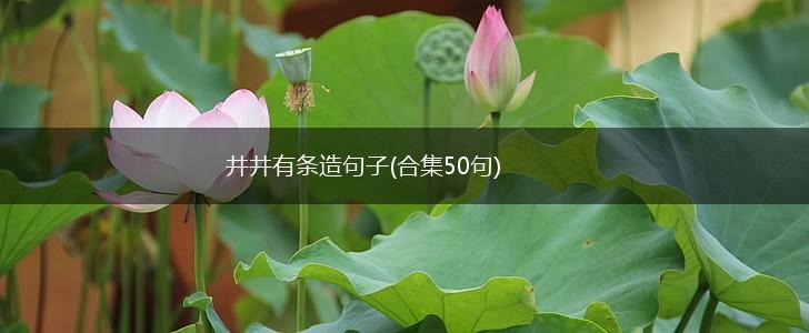 井井有条造句子(合集50句),第1张