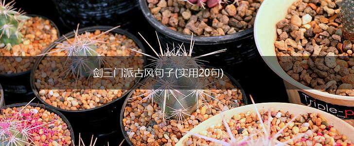 剑三门派古风句子(实用20句),第1张