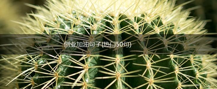 创业加油句子(热门50句),第1张