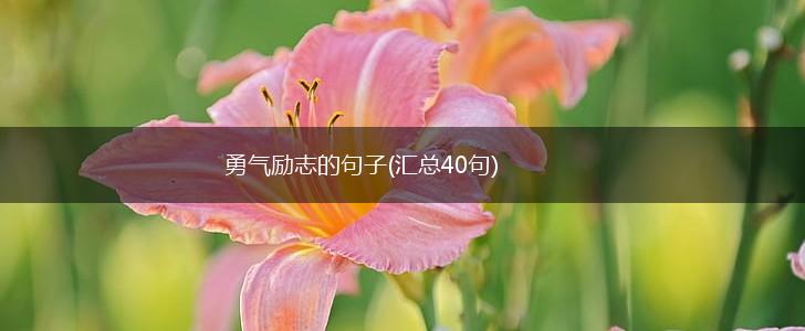 勇气励志的句子(汇总40句),第1张