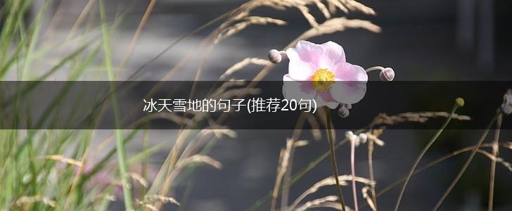 冰天雪地的句子(推荐20句),第1张