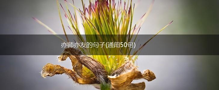 亦师亦友的句子(通用50句),第1张