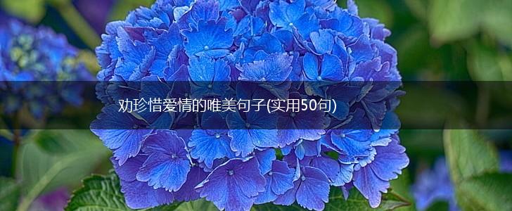 劝珍惜爱情的唯美句子(实用50句),第1张