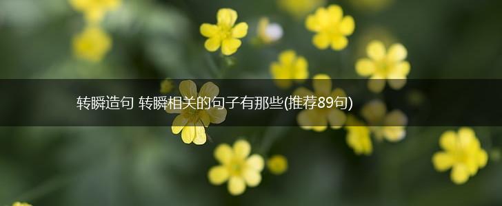 转瞬造句 转瞬相关的句子有那些(推荐89句),第1张