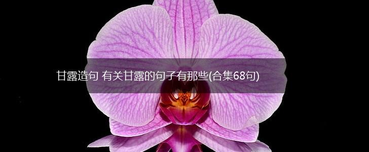 甘露造句 有关甘露的句子有那些(合集68句),第1张