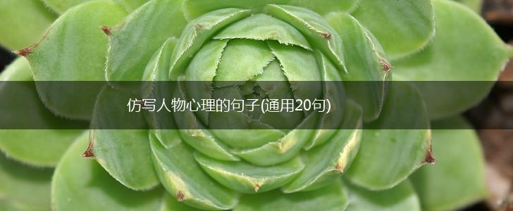 仿写人物心理的句子(通用20句),第1张