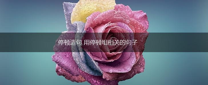 停顿造句 用停顿组相关的句子,第1张
