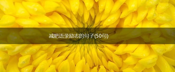 减肥语录励志的句子(50句),第1张