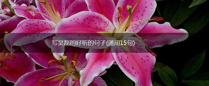 写吴磊的好听的句子(通用15句),第1张