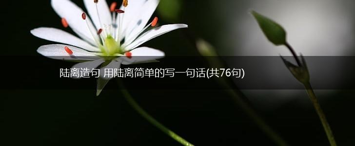 陆离造句 用陆离简单的写一句话(共76句),第1张