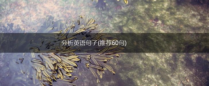 分析英语句子(推荐60句),第1张