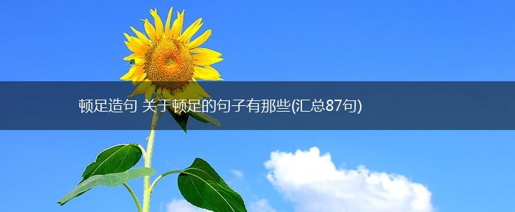 顿足造句 关于顿足的句子有那些(汇总87句),第1张