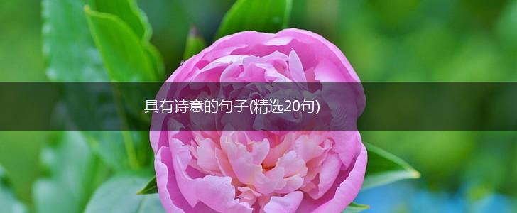 具有诗意的句子(精选20句),第1张