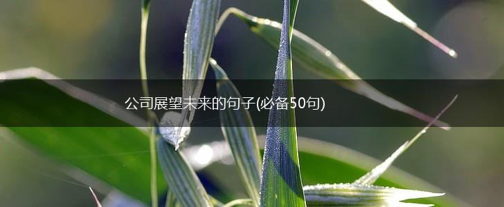 公司展望未来的句子(必备50句),第1张
