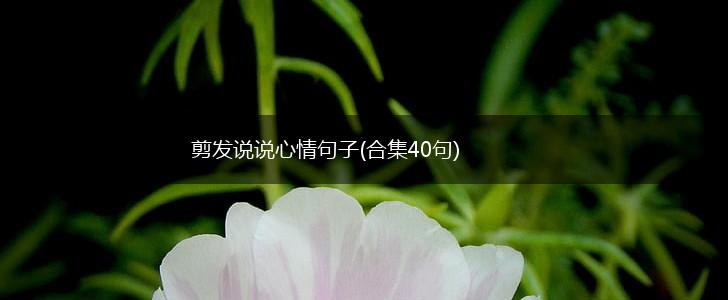 剪发说说心情句子(合集40句),第1张