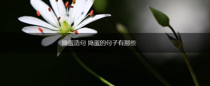 捣蛋造句 捣蛋的句子有那些,第1张