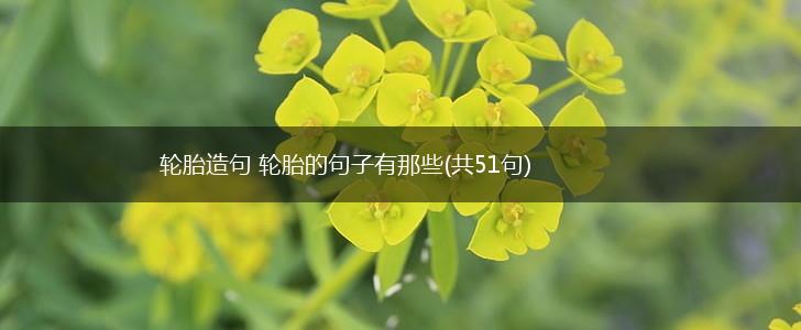 轮胎造句 轮胎的句子有那些(共51句),第1张