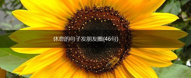 休息的句子发朋友圈(46句),第1张
