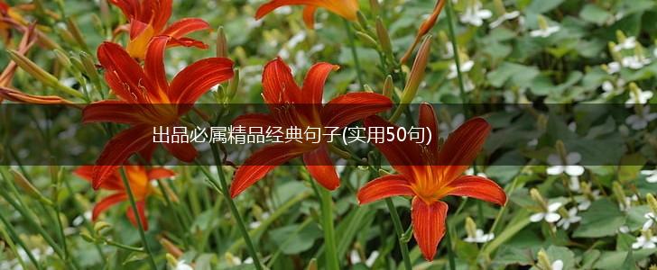 出品必属精品经典句子(实用50句),第1张