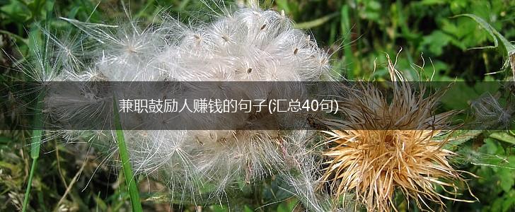 兼职鼓励人赚钱的句子(汇总40句),第1张