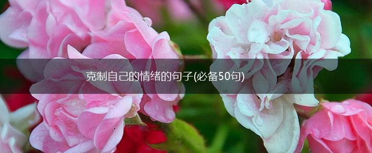 克制自己的情绪的句子(必备50句),第1张