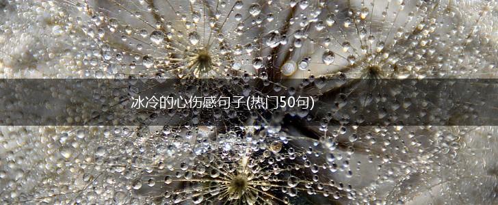 冰冷的心伤感句子(热门50句),第1张