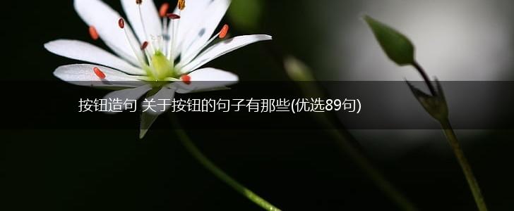 按钮造句 关于按钮的句子有那些(优选89句),第1张
