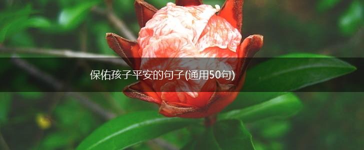 保佑孩子平安的句子(通用50句),第1张